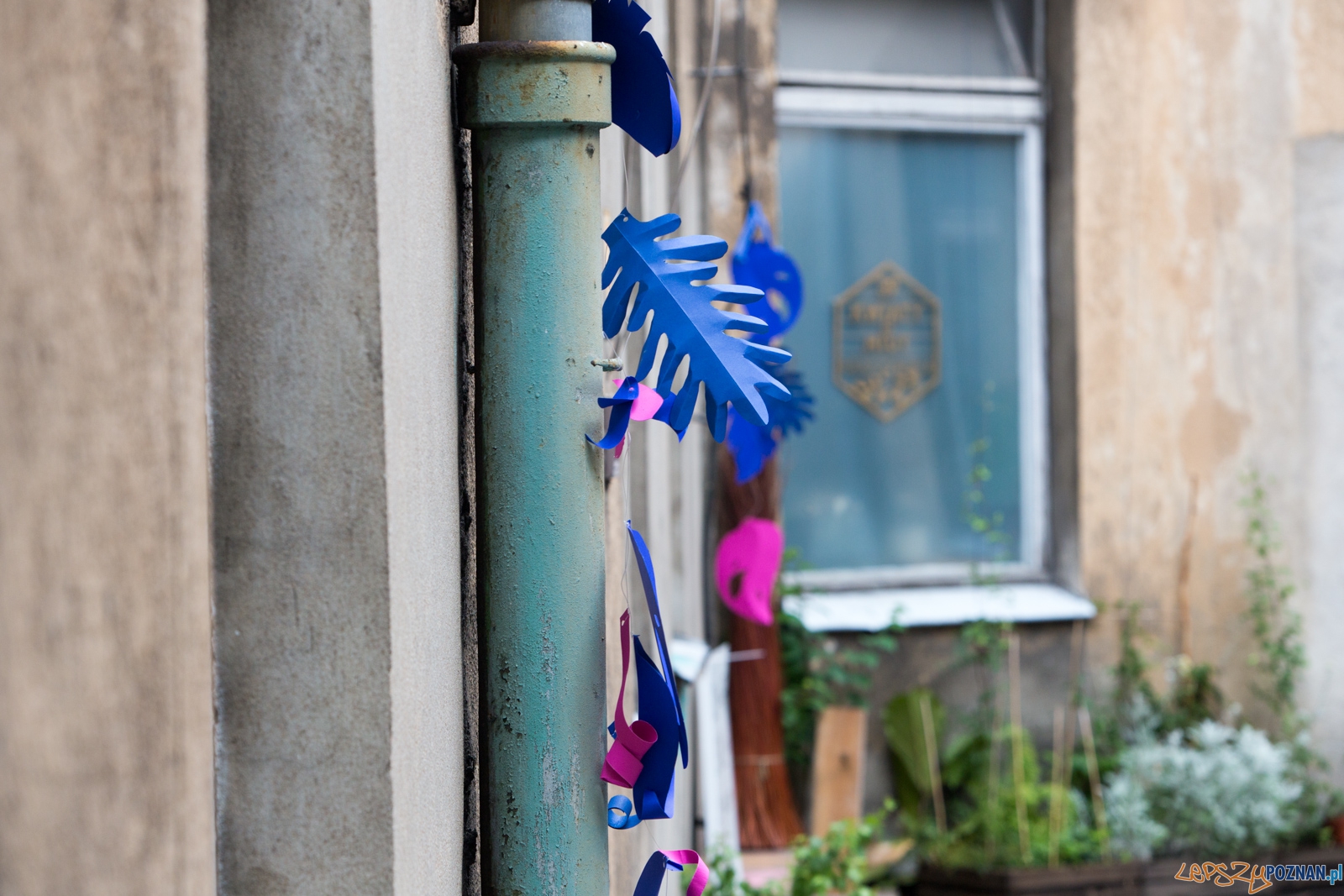 Dni Jeżyc 2015 Foto: lepszyPOZNAN.pl / Piotr Rychter Dni Jeżyc 2015 Foto: lepszyPOZNAN.pl / Piotr Rychter