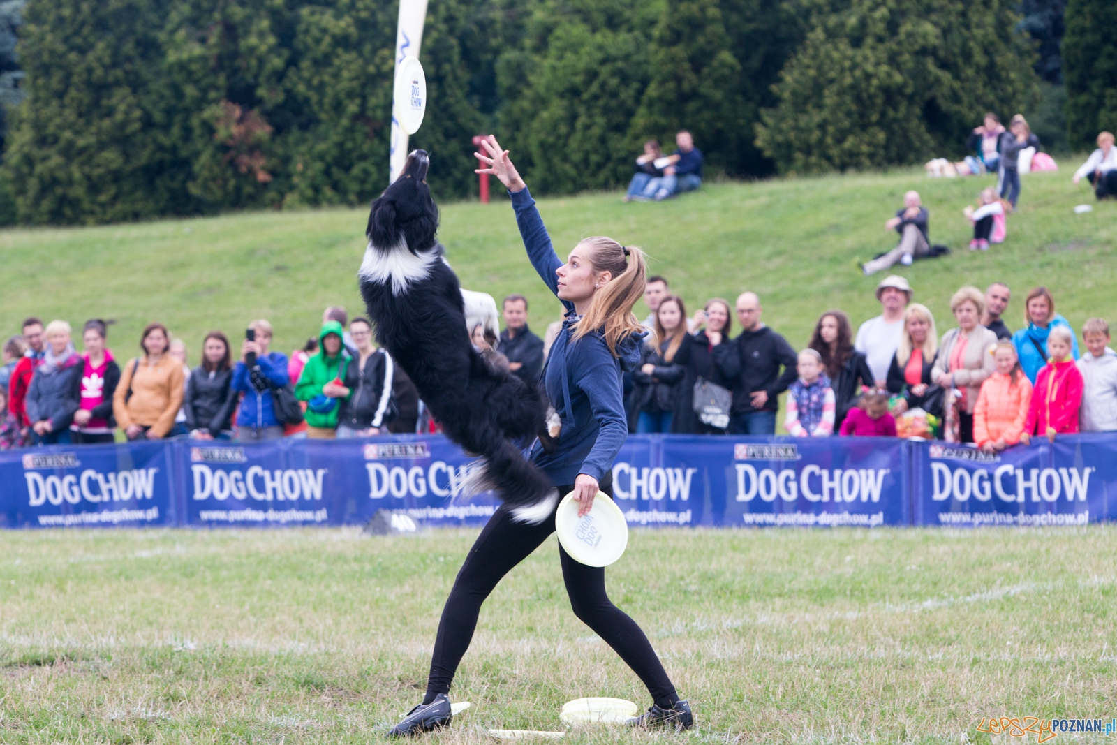 Dog Chow Disc Cup 2015 Foto: lepszyPOZNAN.pl / Piotr Rychter Dog Chow Disc Cup 2015 Foto: lepszyPOZNAN.pl / Piotr Rychter
