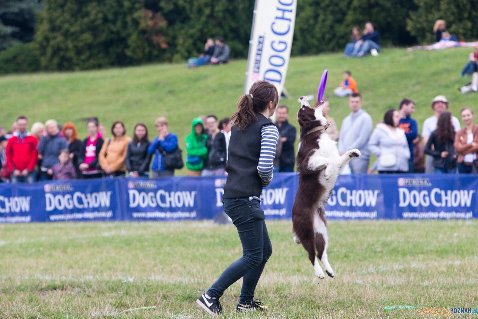 Dog Chow Disc Cup 2015 Foto: lepszyPOZNAN.pl / Piotr Rychter Dog Chow Disc Cup 2015 Foto: lepszyPOZNAN.pl / Piotr Rychter