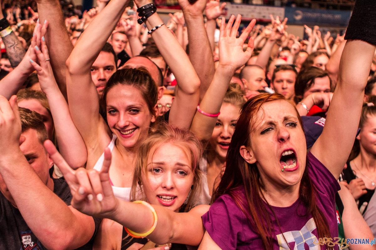 Koncert Limp Bizkit - Kraków 07.06.2015 r.  Foto: lepszyPOZNAN.pl / Paweł Rychter