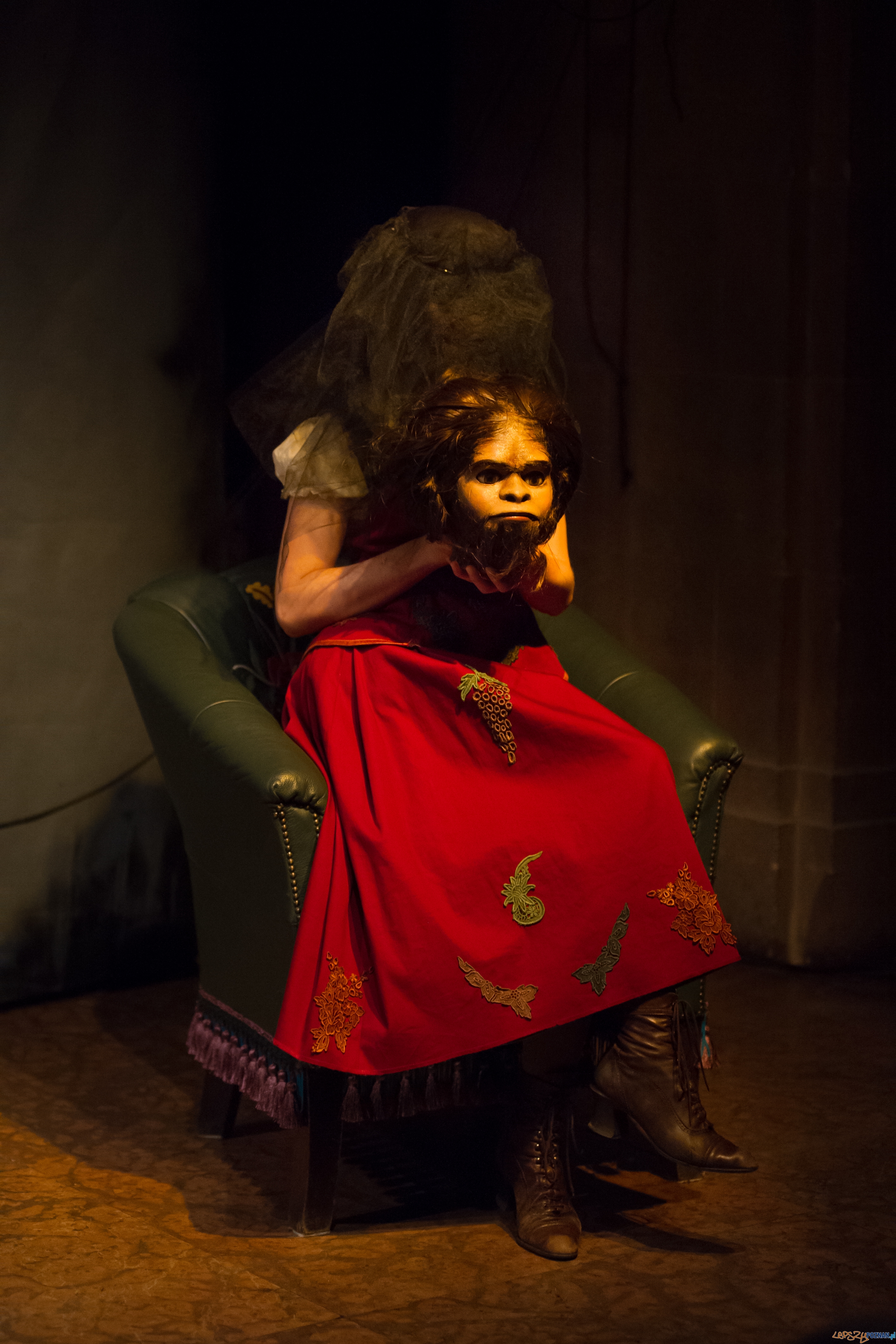 PASTRANA, lalkowo-aktorski spektakl dla dorosłych Foto: Bartek Warzecha PASTRANA, lalkowo-aktorski spektakl dla dorosłych Foto: Bartek Warzecha