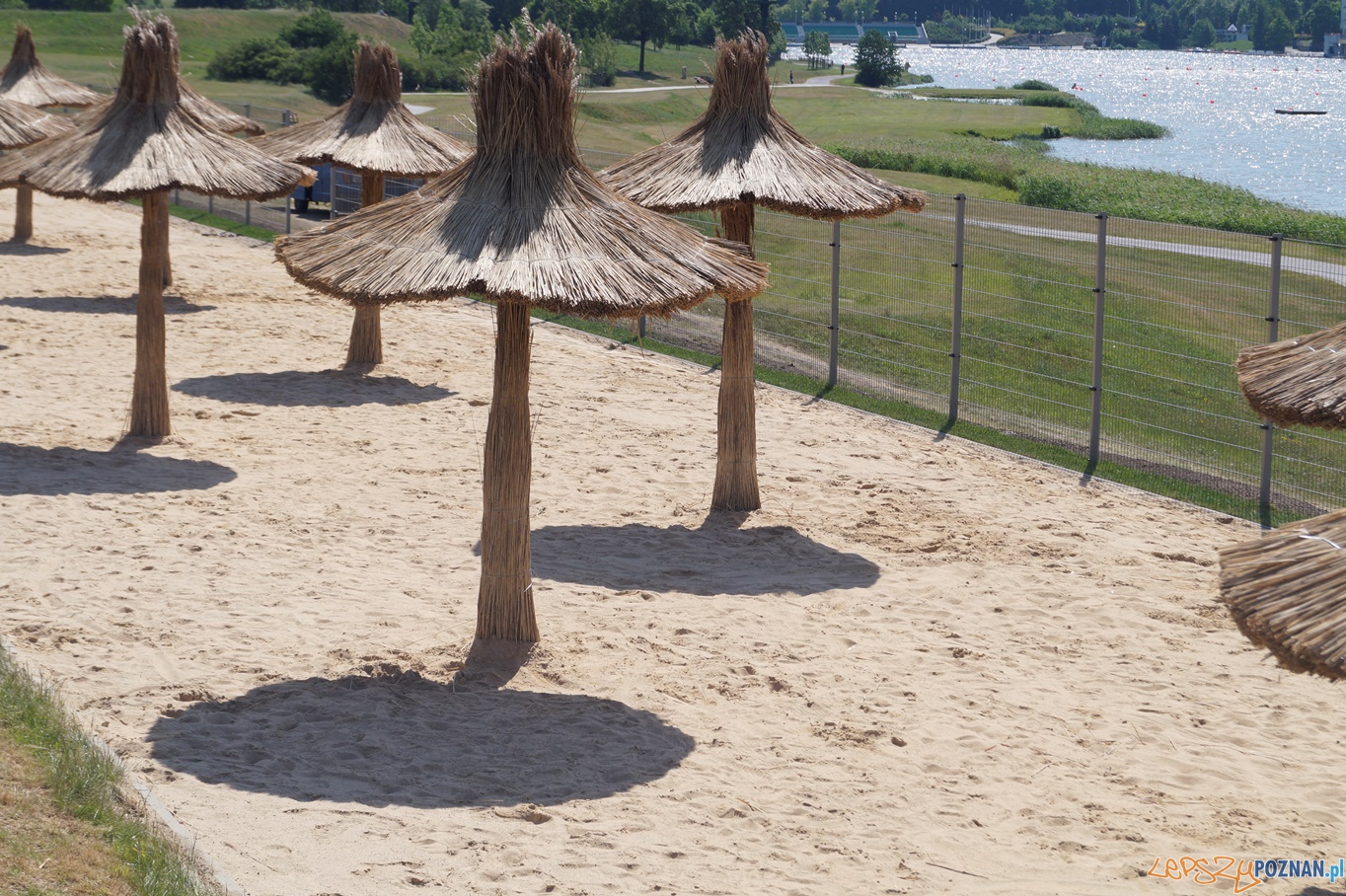 Plaża w Termach Maltańskich Foto: mat. prasowe Plaża w Termach Maltańskich Foto: mat. prasowe