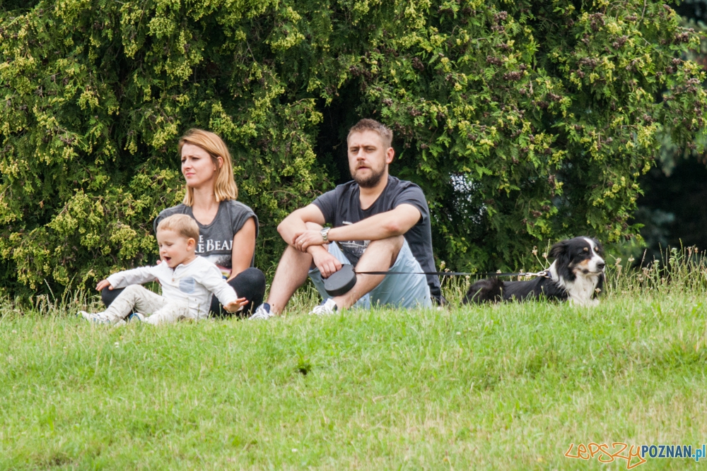 Dog Chow Disc Cup (27.06.2015) Cytadela Foto: © lepszyPOZNAN.pl / Karolina Kiraga Dog Chow Disc Cup (27.06.2015) Cytadela Foto: © lepszyPOZNAN.pl / Karolina Kiraga