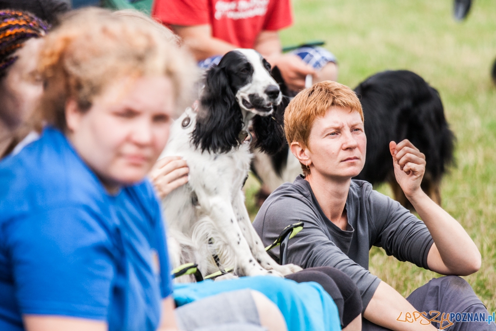 Dog Chow Disc Cup (27.06.2015) Cytadela Foto: © lepszyPOZNAN.pl / Karolina Kiraga Dog Chow Disc Cup (27.06.2015) Cytadela Foto: © lepszyPOZNAN.pl / Karolina Kiraga