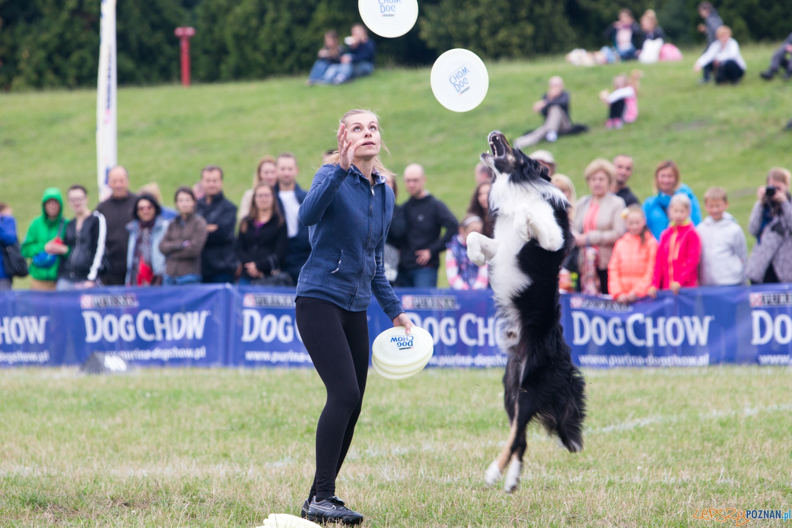 Dog Chow Disc Cup 2015 Foto: lepszyPOZNAN.pl / Piotr Rychter Dog Chow Disc Cup 2015 Foto: lepszyPOZNAN.pl / Piotr Rychter