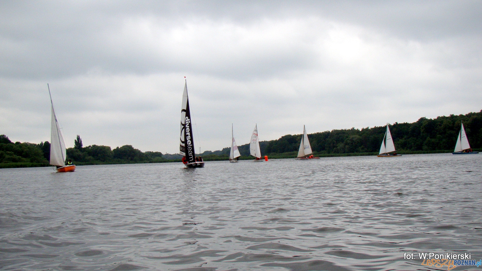 Zagle w Swarzedzu Foto: WOZŻ Zagle w Swarzedzu Foto: WOZŻ