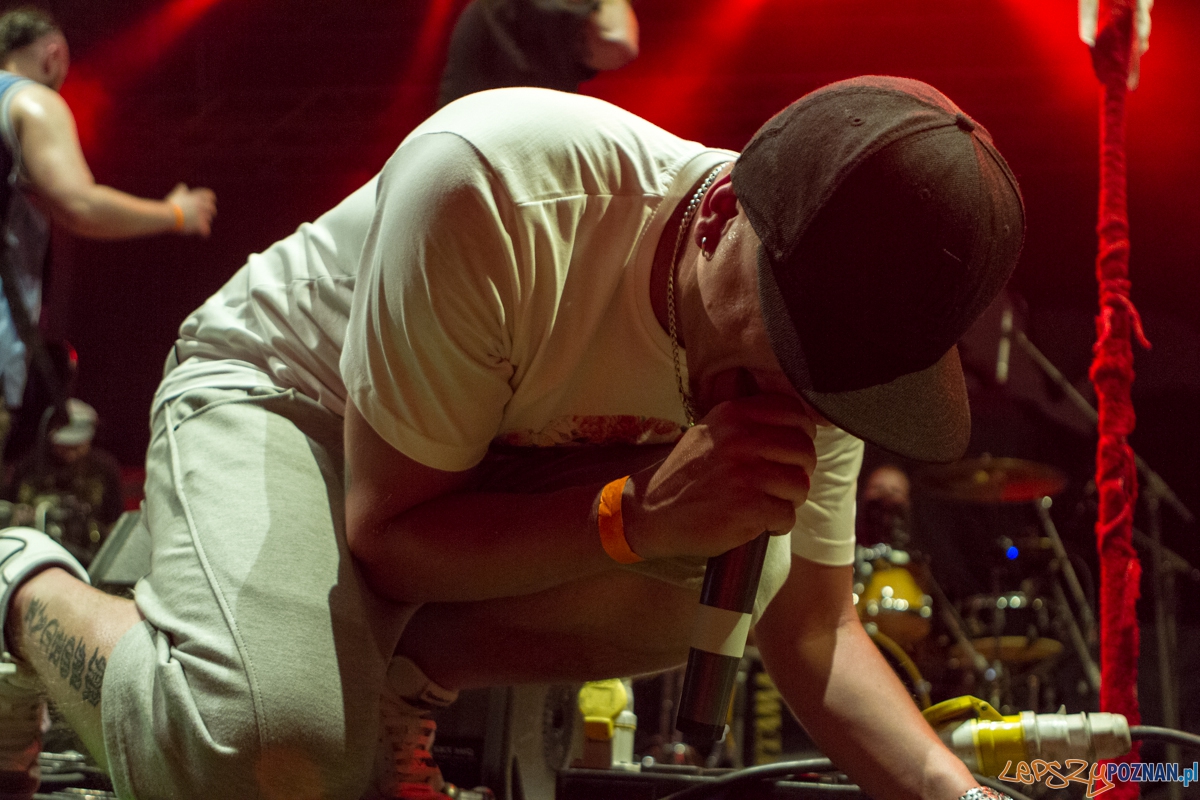 Koncert Limp Bizkit - support - Hope - Kraków 07.06.2015 r. Foto: lepszyPOZNAN.pl / Paweł Rychter Koncert Limp Bizkit - support - Hope - Kraków 07.06.2015 r. Foto: lepszyPOZNAN.pl / Paweł Rychter