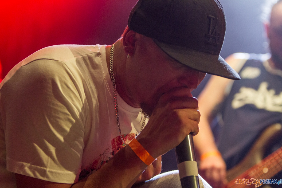 Koncert Limp Bizkit - support - Hope - Kraków 07.06.2015 r. Foto: lepszyPOZNAN.pl / Paweł Rychter Koncert Limp Bizkit - support - Hope - Kraków 07.06.2015 r. Foto: lepszyPOZNAN.pl / Paweł Rychter