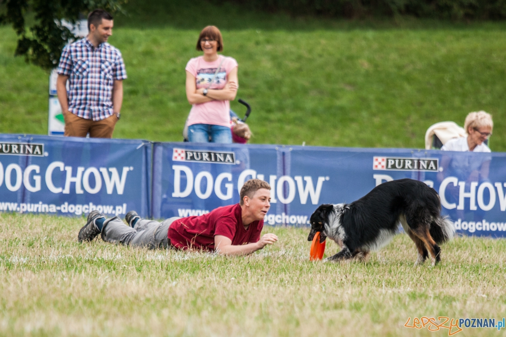 Dog Chow Disc Cup (27.06.2015) Cytadela Foto: © lepszyPOZNAN.pl / Karolina Kiraga Dog Chow Disc Cup (27.06.2015) Cytadela Foto: © lepszyPOZNAN.pl / Karolina Kiraga
