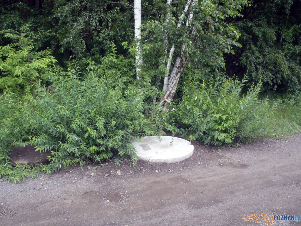 Niebezpieczne studzienki Foto: Straż Miejska w Poznaniu Niebezpieczne studzienki Foto: Straż Miejska w Poznaniu