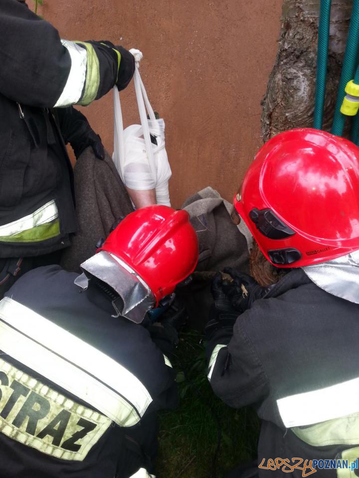 Mężczyzna nadział się na kątownik Foto: PSP w Poznaniu / kpt. R. Krzykowiak Mężczyzna nadział się na kątownik Foto: PSP w Poznaniu / kpt. R. Krzykowiak