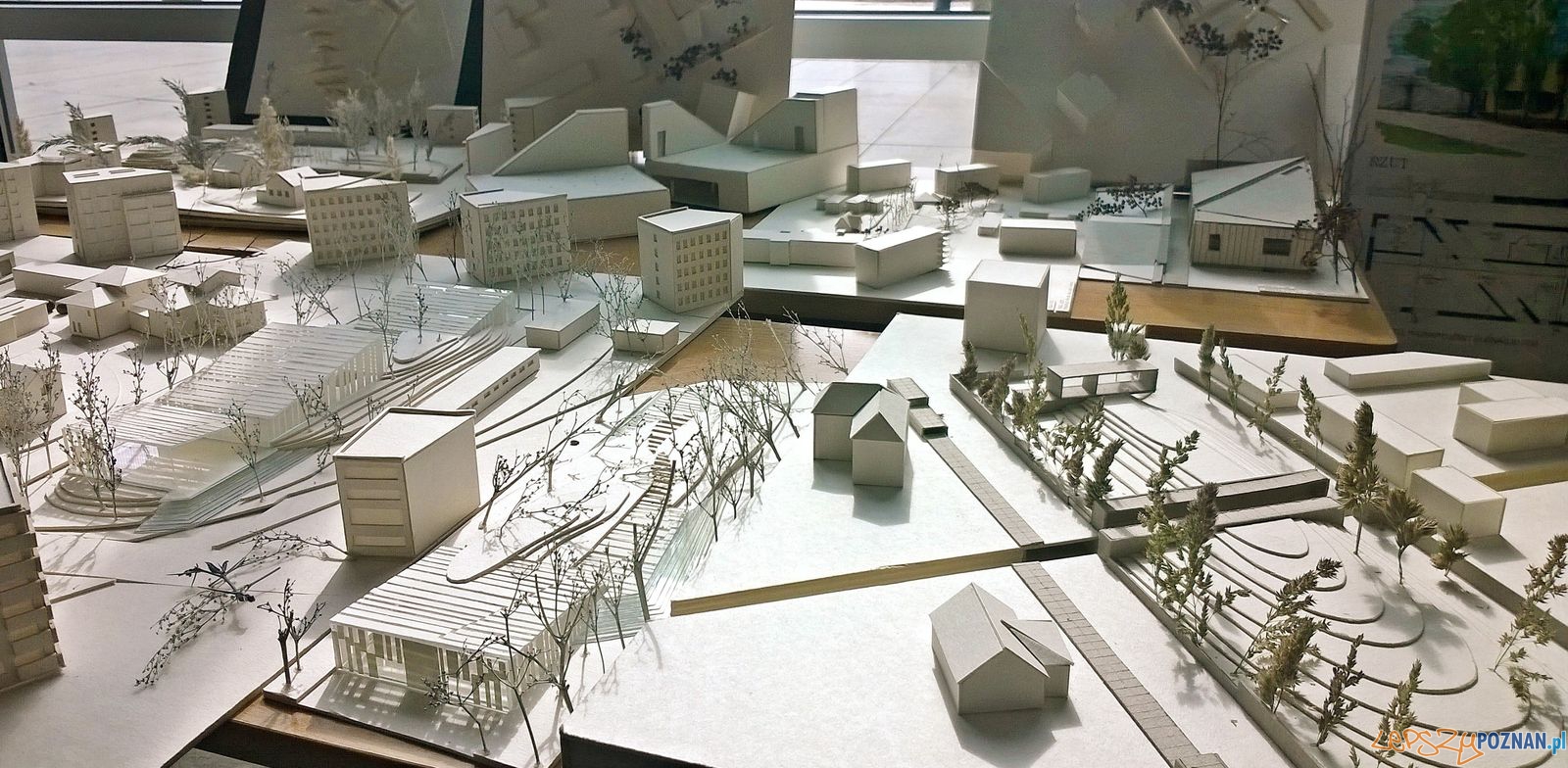 Projektowanie miasta Foto: Tomasz Dworek Projektowanie miasta Foto: Tomasz Dworek