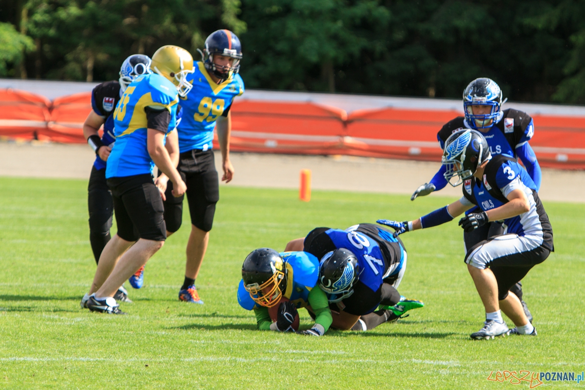 4. Turniej Finałowy Juniorów PLFA J-8 - 20.06.2015 r. Foto: LepszyPOZNAN.pl / Paweł Rychter 4. Turniej Finałowy Juniorów PLFA J-8 - 20.06.2015 r. Foto: LepszyPOZNAN.pl / Paweł Rychter