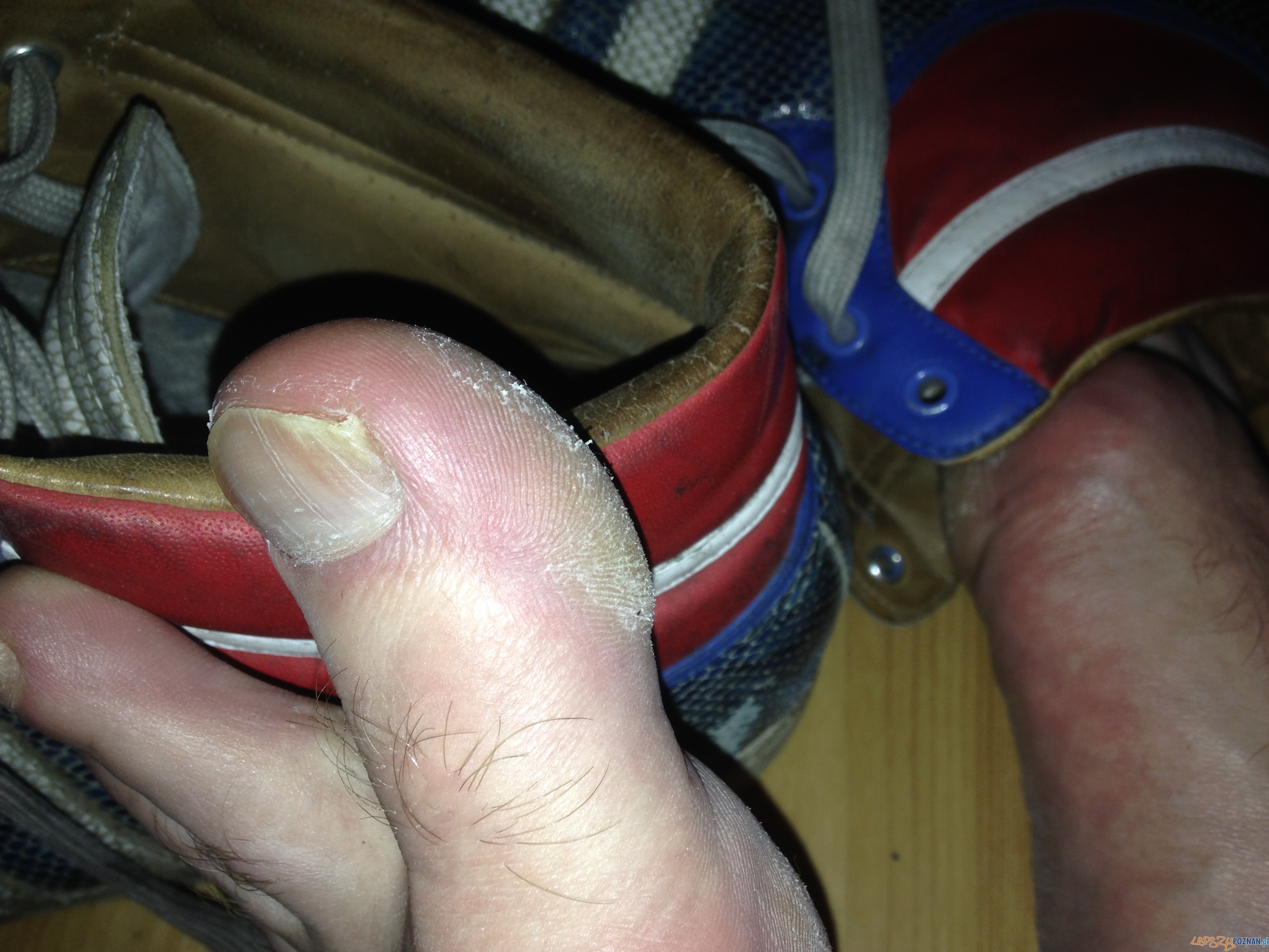 Good-girls-go-to-heaven-bad-girls-go-everywherecredit-Frederic-Gies Foto: Good-girls-go-to-heaven-bad-girls-go-everywherecredit-Frederic-Gies Foto: