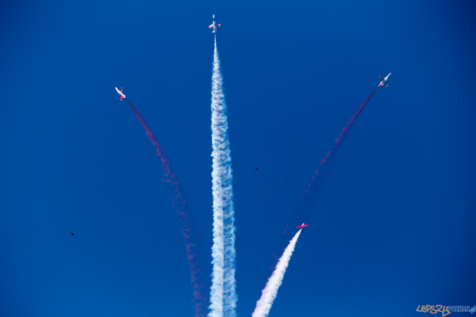 Aerofestival 2015 - Turkish Stars (Türk Yıldızları) Foto: lepszyPOZNAN.pl /Piotr Rychter Aerofestival 2015 - Turkish Stars (Türk Yıldızları) Foto: lepszyPOZNAN.pl /Piotr Rychter