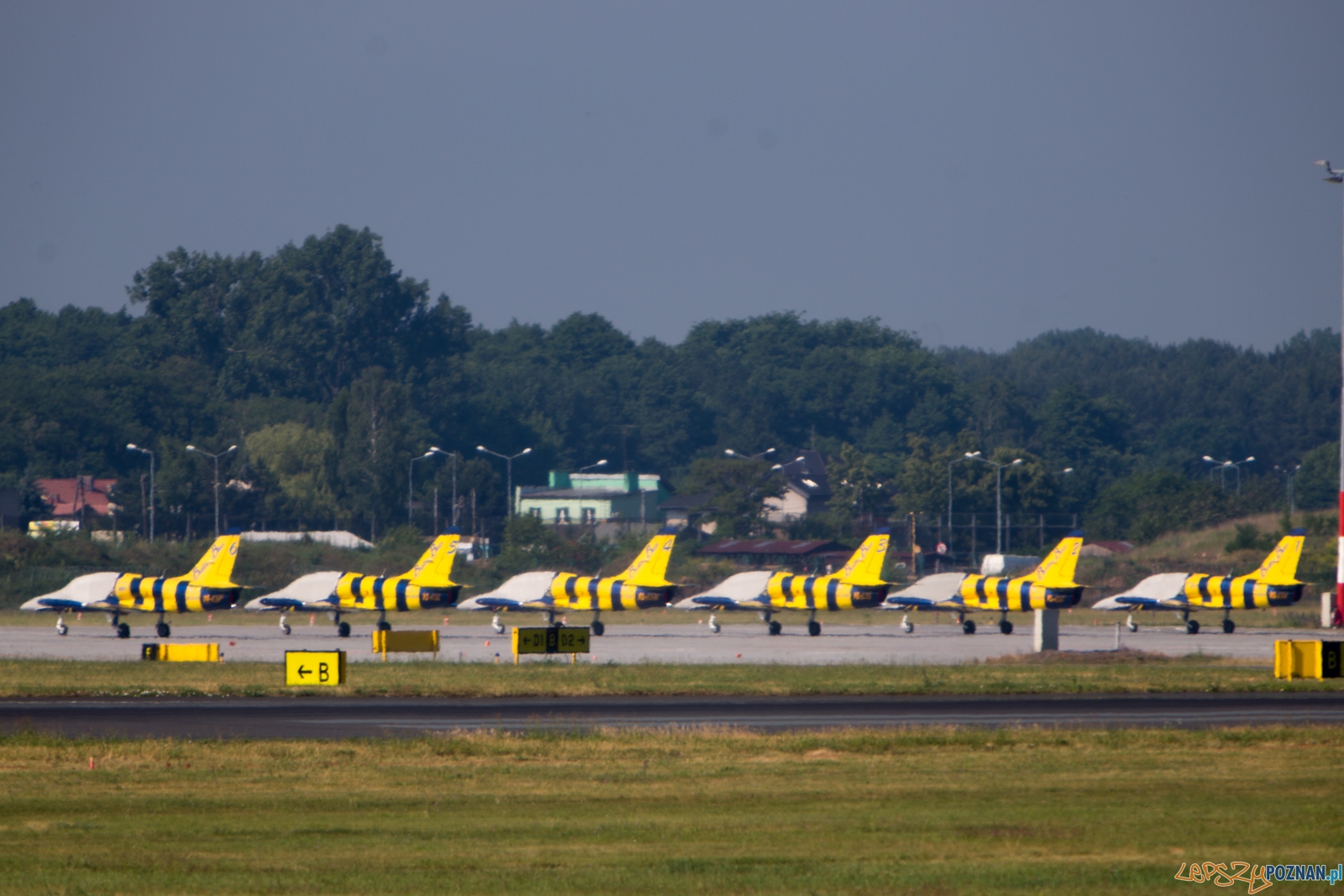 Aerofestival 2015 Foto: lepszyPOZNAN.pl /Piotr Rychter Aerofestival 2015 Foto: lepszyPOZNAN.pl /Piotr Rychter
