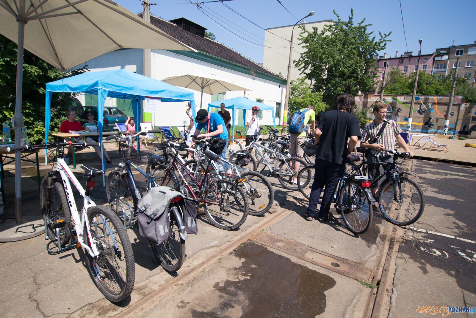Sportowa Madalina Foto: lepszyPOZNAN.pl / Piotr Rychter Sportowa Madalina Foto: lepszyPOZNAN.pl / Piotr Rychter