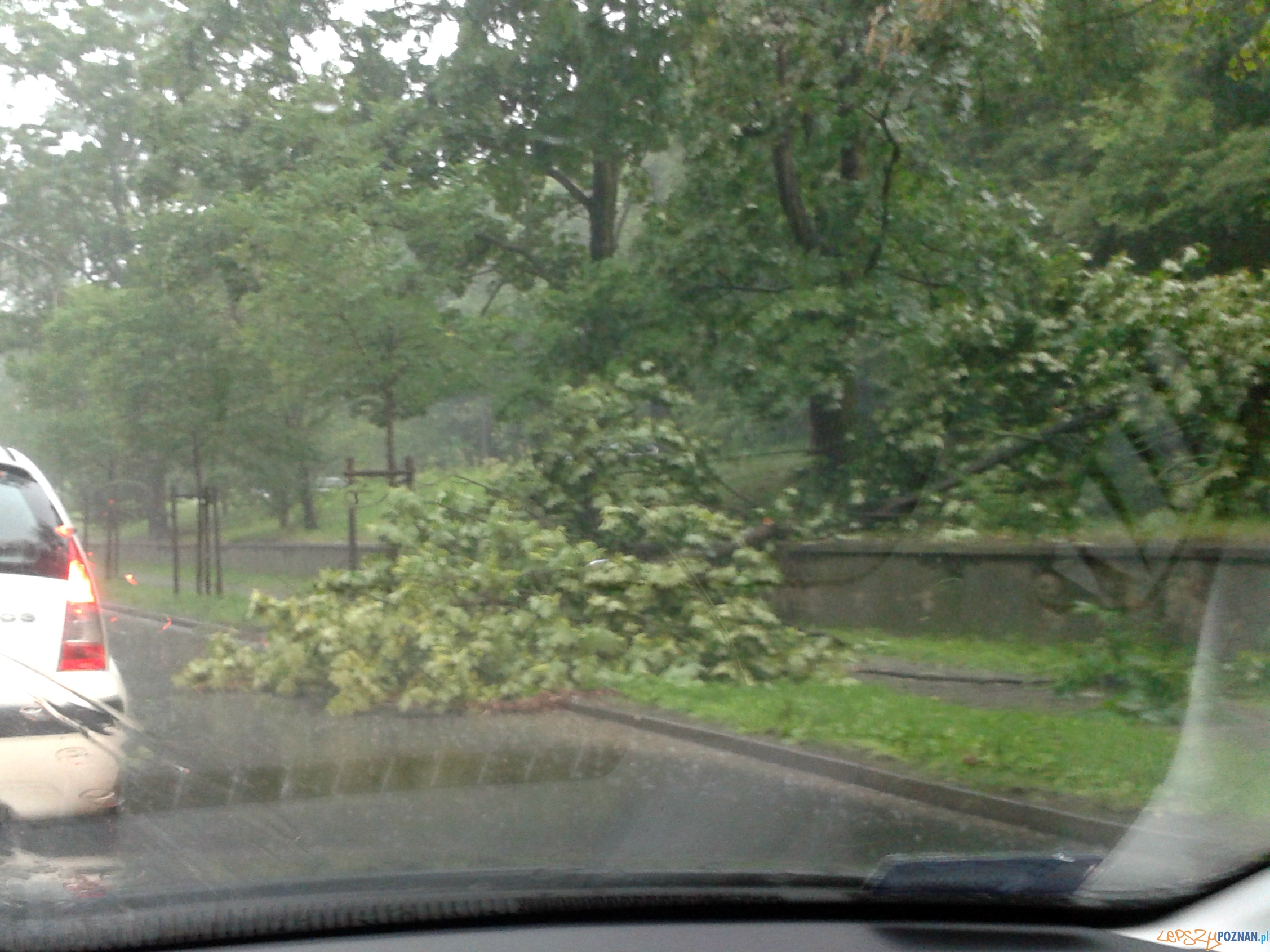 Gwałtowna burza przeszła nad Poznaniem - ul. Szelągowska Foto: lepszyPOZNAN Gwałtowna burza przeszła nad Poznaniem - ul. Szelągowska Foto: lepszyPOZNAN