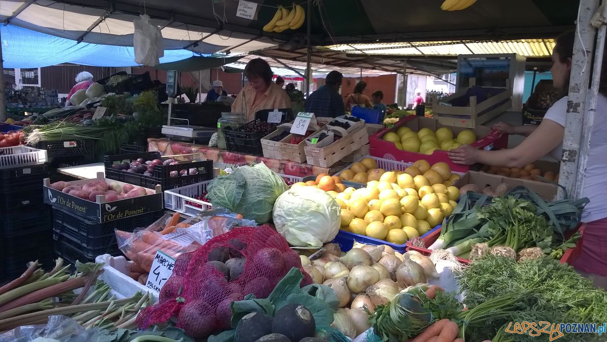 Plac Bernardyński(2) Foto: TD Plac Bernardyński(2) Foto: TD