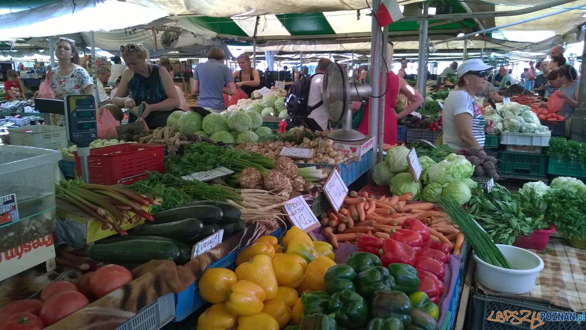 Sobota na Jeżyckim (4) Foto: TD Sobota na Jeżyckim (4) Foto: TD