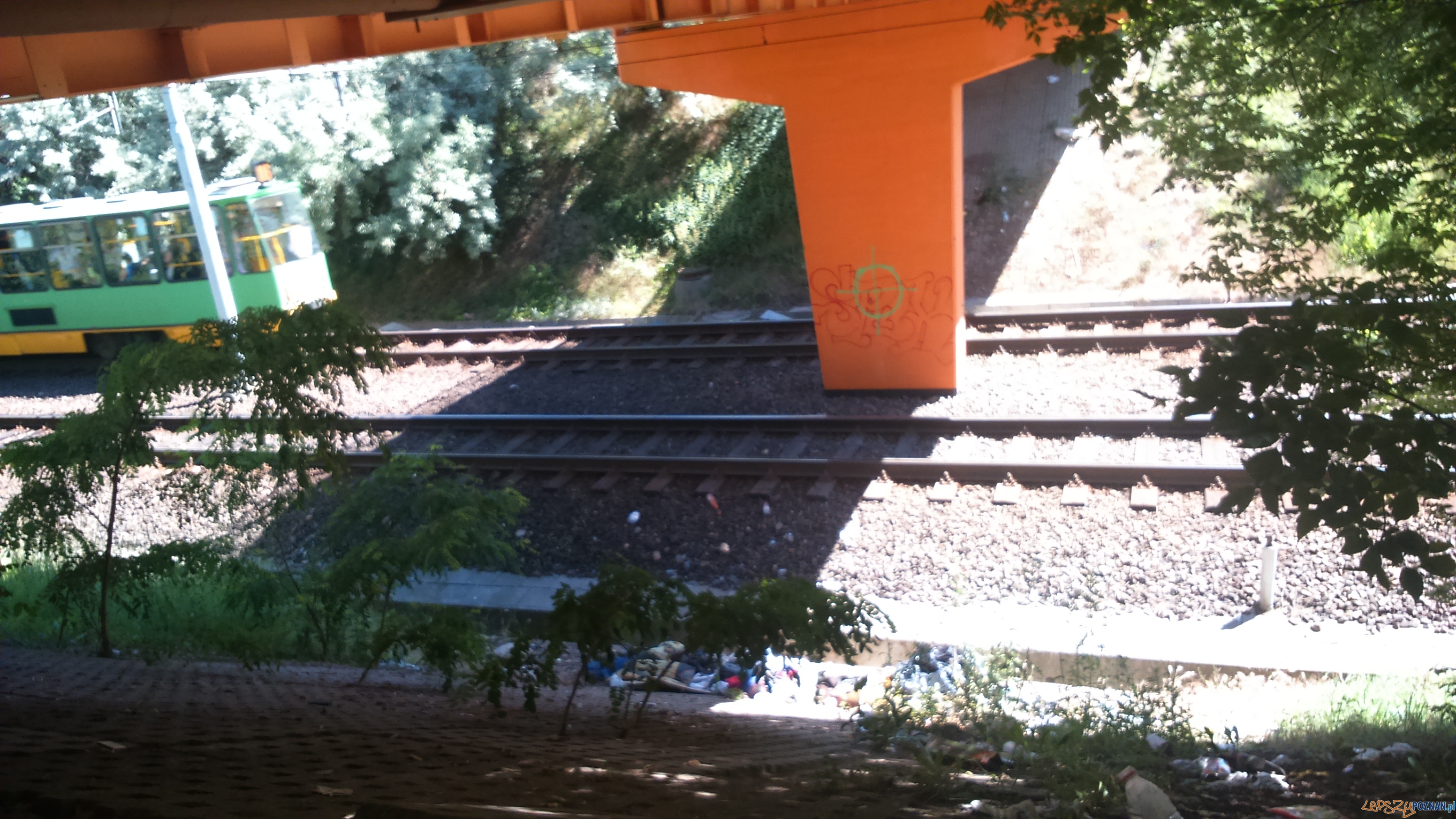 Gemela pod Pestką (2) Foto: Straż Miejska Gemela pod Pestką (2) Foto: Straż Miejska