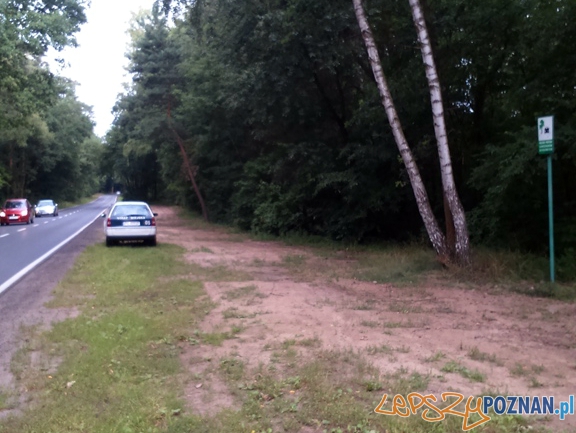 Miejsca postojowe na ul. Koszalińskiej Foto: Straż Miejska w Poznaniu Miejsca postojowe na ul. Koszalińskiej Foto: Straż Miejska w Poznaniu