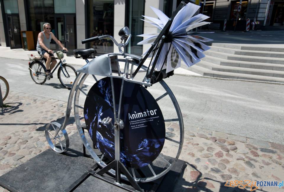 Mutskop przy Starym Marychu Foto: fot. www.kpictures.pl Mutskop przy Starym Marychu Foto: fot. www.kpictures.pl