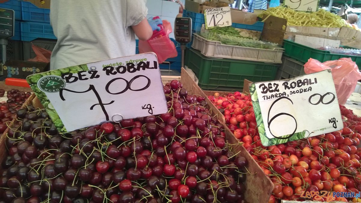 Sobota na Jeżyckim (7) Foto: TD Sobota na Jeżyckim (7) Foto: TD