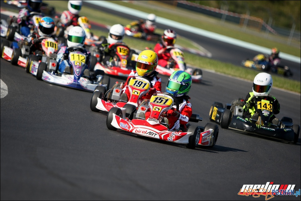 Mali wielcy kierowcy Foto: Automobilklub Wielkopolski Mali wielcy kierowcy Foto: Automobilklub Wielkopolski