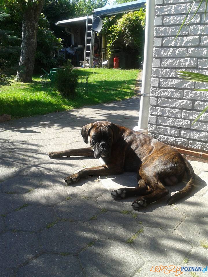 Mani Foto: Mani Foto: