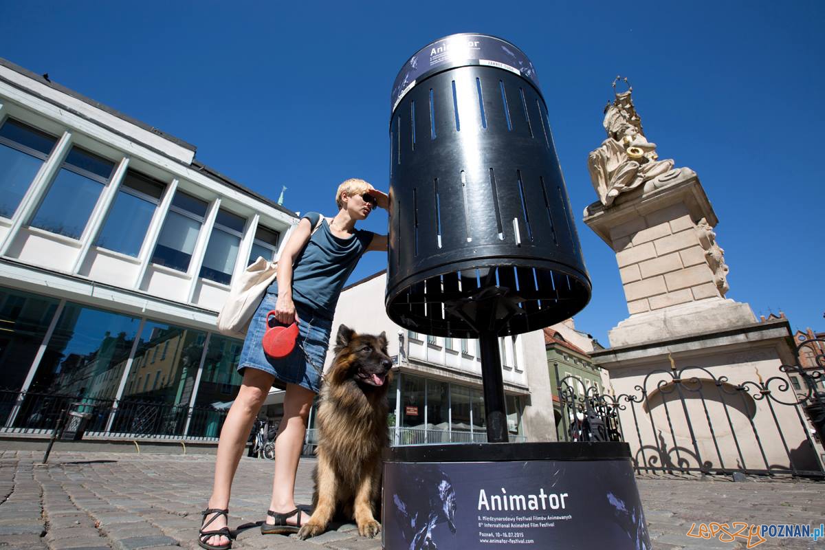 Zootrop na Starym Rynku Foto: fot. www.kpictures.pl Zootrop na Starym Rynku Foto: fot. www.kpictures.pl