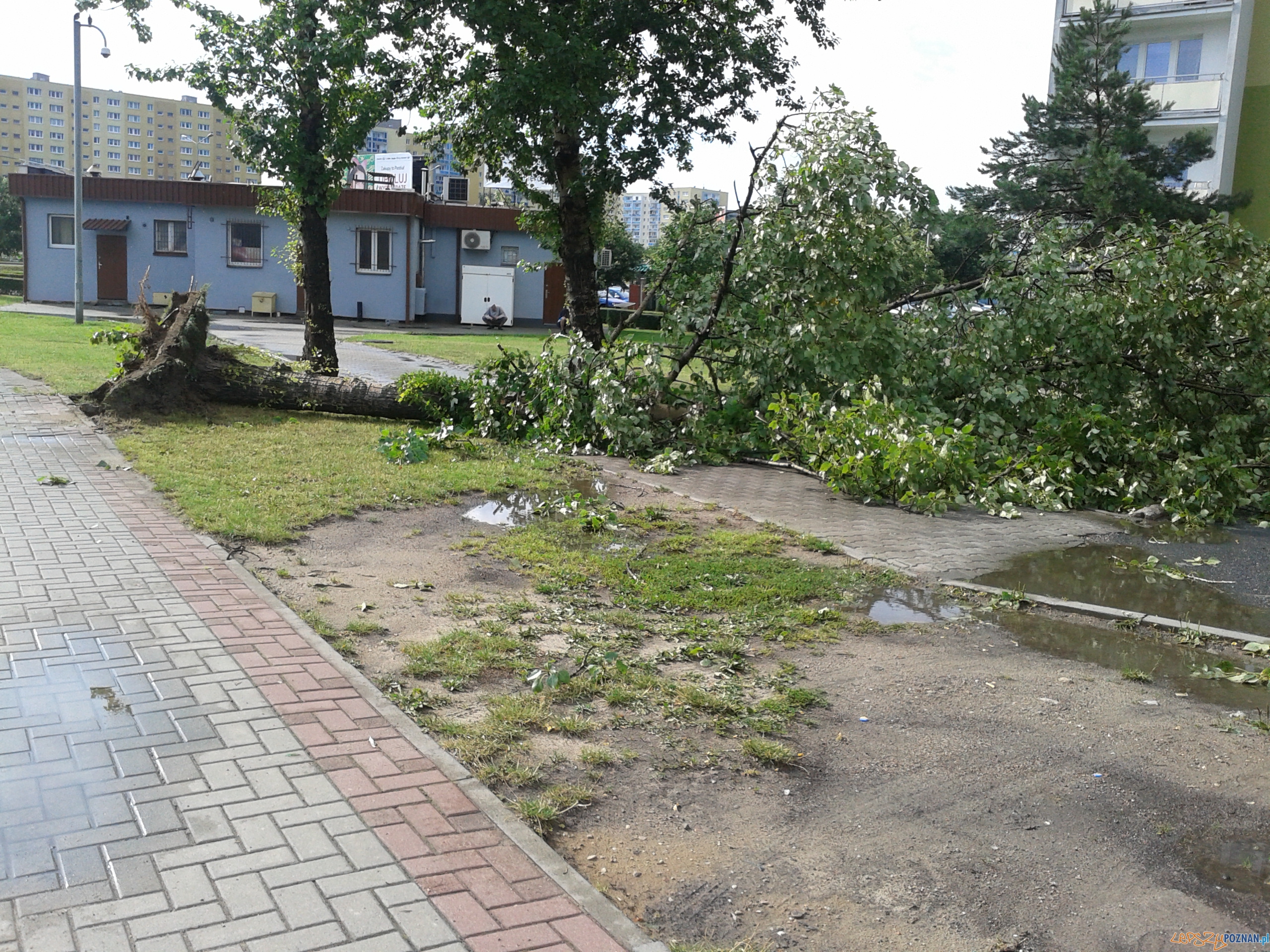 Gwałtowna burza przeszła nad Poznaniem - os. B. Śmialego Foto: Janina Gwałtowna burza przeszła nad Poznaniem - os. B. Śmialego Foto: Janina