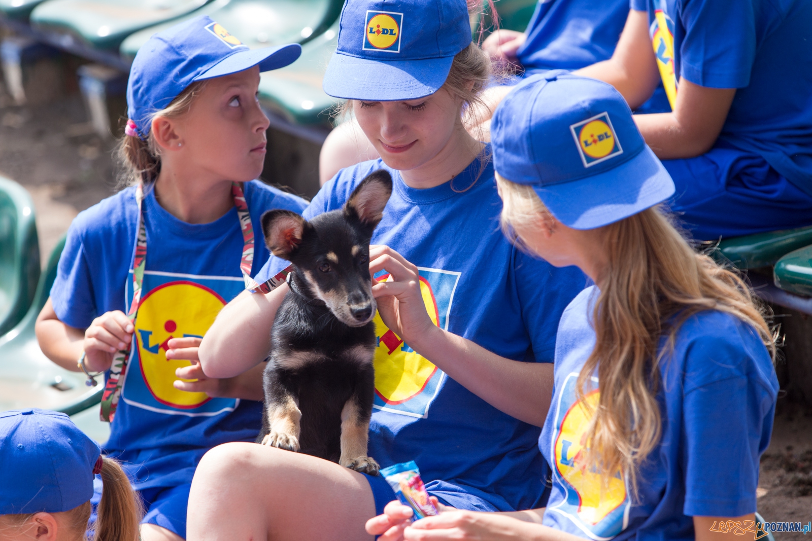 poznan_open-27 Foto: lepszyPOZNAN.pl / Piotr Rychter poznan_open-27 Foto: lepszyPOZNAN.pl / Piotr Rychter