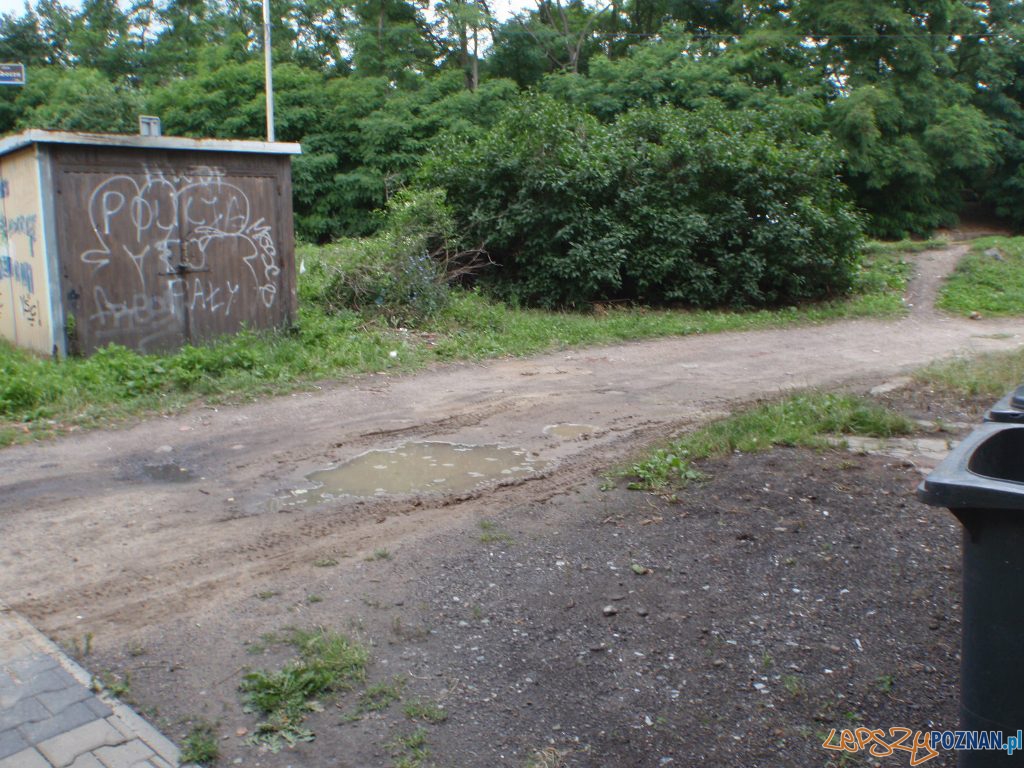 Gemela na Wildzie (1) Foto: Straż Miejska Gemela na Wildzie (1) Foto: Straż Miejska