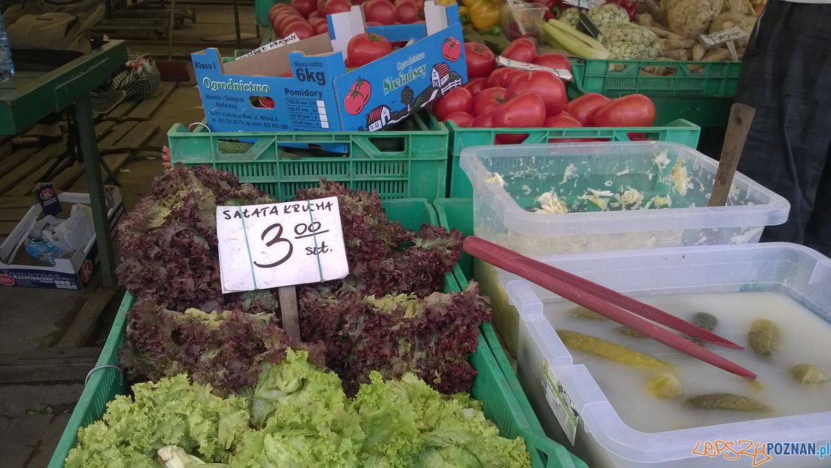 Sobota na Jeżyckim (3) Foto: TD Sobota na Jeżyckim (3) Foto: TD