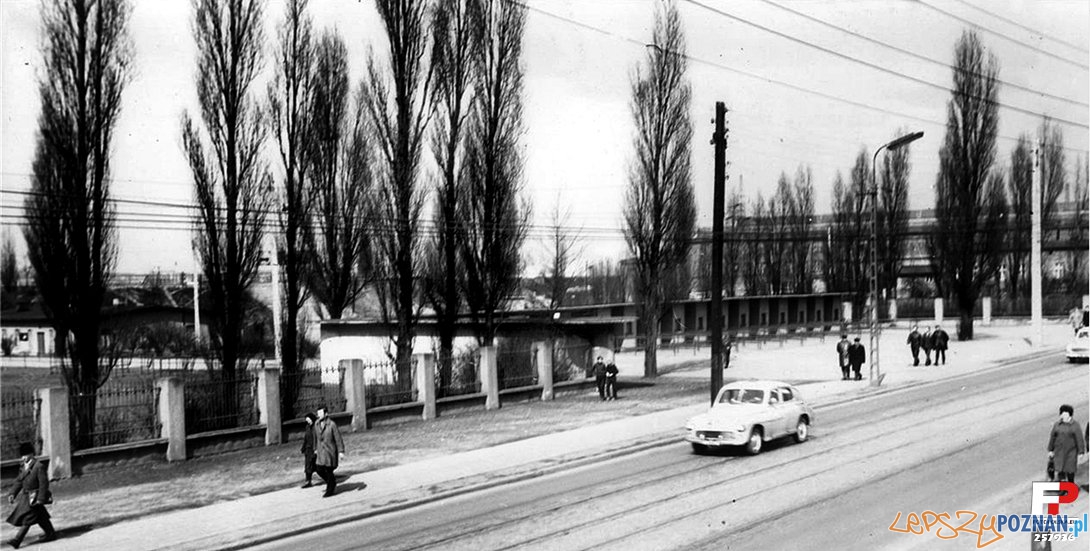 Stadion na Dębcu, lata 60-70 Foto: fotopolska Stadion na Dębcu, lata 60-70 Foto: fotopolska