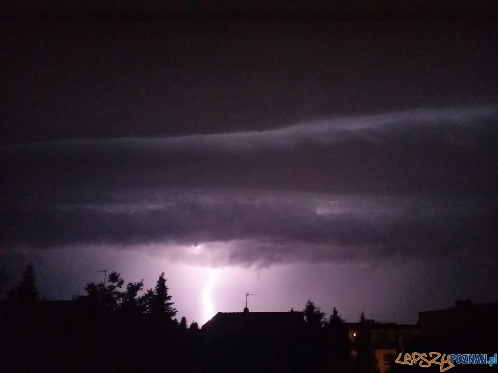 Gwałtowna burza wyrządziła sporo szkód Foto: lepszyPOZNAN.pl / tab Gwałtowna burza wyrządziła sporo szkód Foto: lepszyPOZNAN.pl / tab