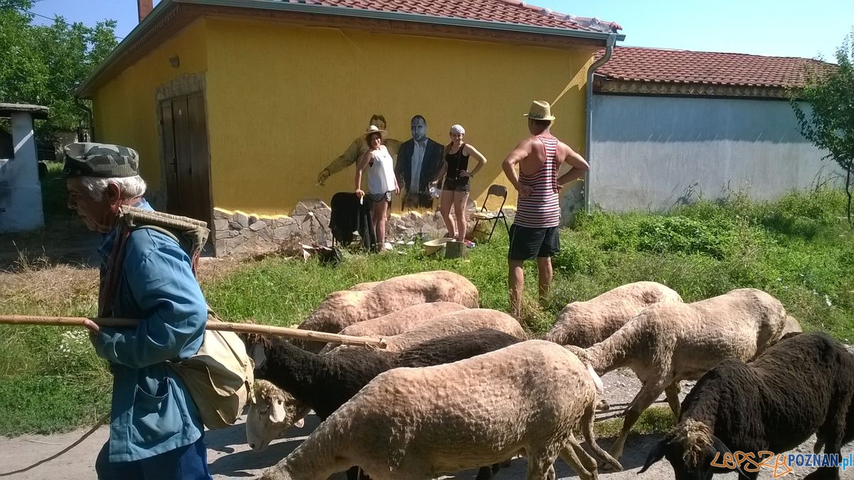 Poznańskie murale na bułgarskiej wsi (6) Foto: Galeria Ventzi Poznańskie murale na bułgarskiej wsi (6) Foto: Galeria Ventzi