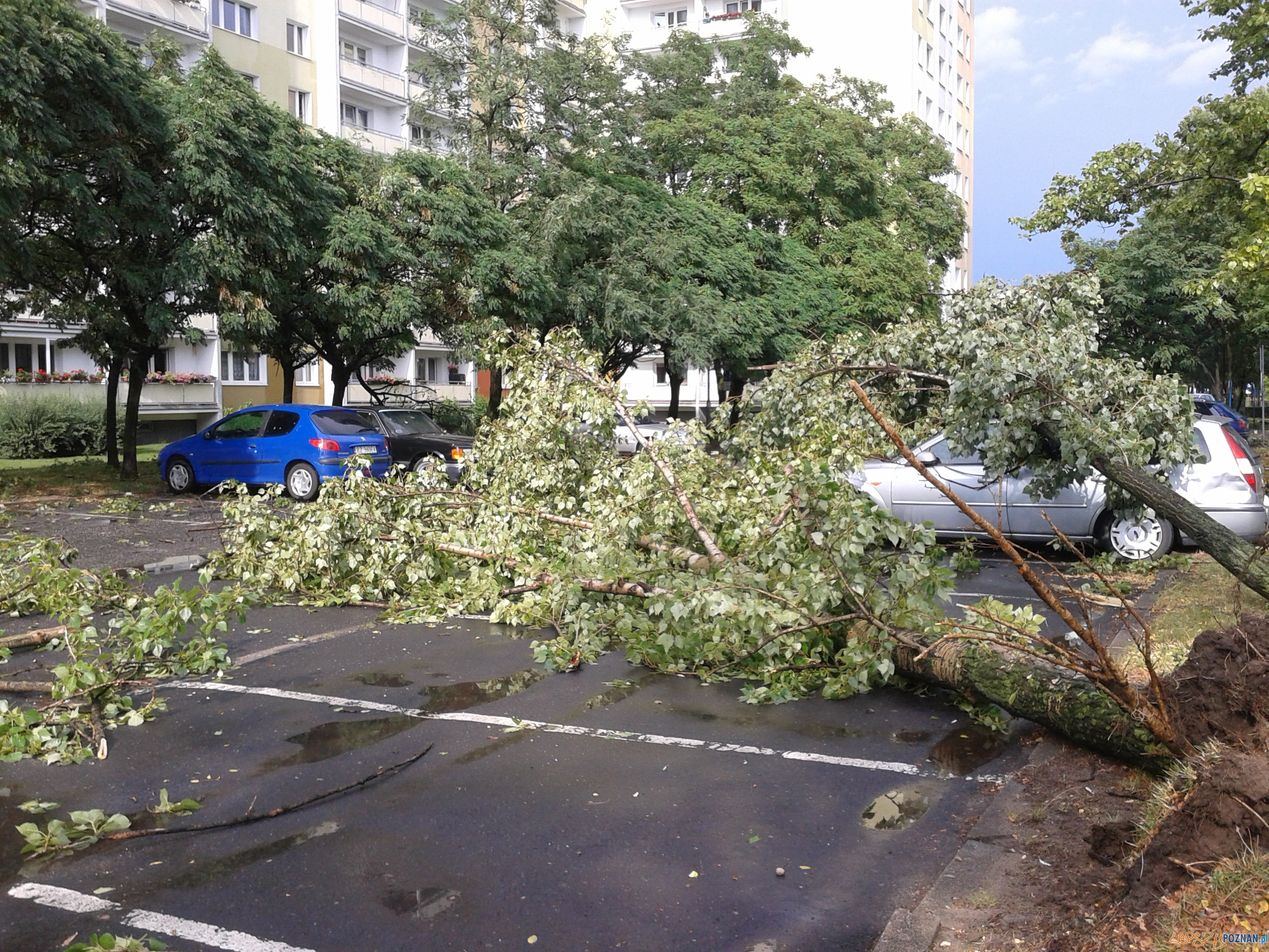 Gwałtowna burza przeszła nad Poznaniem - os. B. Śmialego Foto: Janina Gwałtowna burza przeszła nad Poznaniem - os. B. Śmialego Foto: Janina