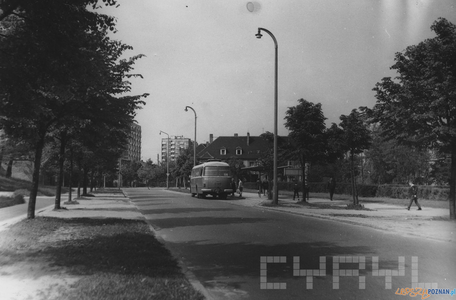 Autobus pospieszny C na przystanku przy ul. Łozowej nieopodal skrzyżowania z ul. Czechosłowacką - lata 70.te Foto: S. Wiktor/ Cyryl Autobus pospieszny C na przystanku przy ul. Łozowej nieopodal skrzyżowania z ul. Czechosłowacką - lata 70.te Foto: S. Wiktor/ Cyryl