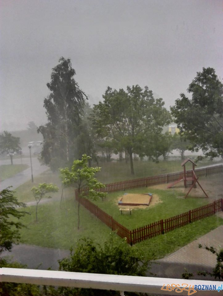 Gwałtowna burza przeszła nad Poznaniem Foto: Magdalena Majkut Gwałtowna burza przeszła nad Poznaniem Foto: Magdalena Majkut