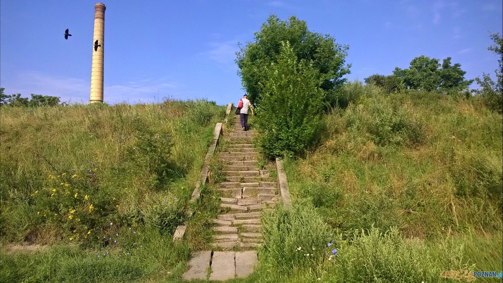 Tu potrzebne są nowe schody Foto: Tomasz Dworek Tu potrzebne są nowe schody Foto: Tomasz Dworek