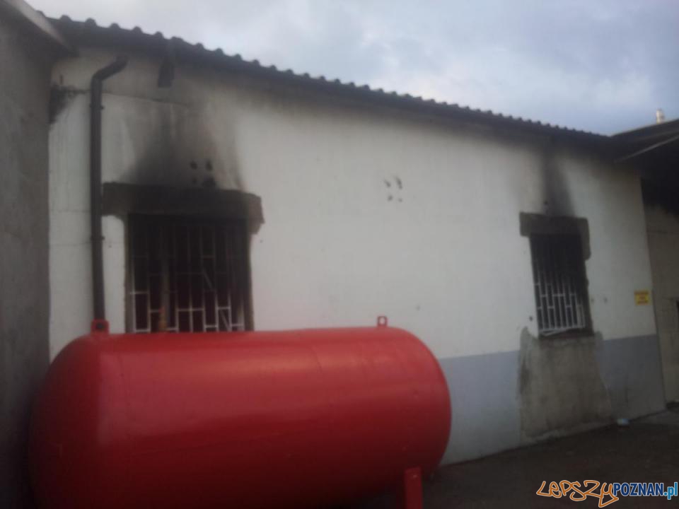 Pożar w ubojni Foto: PSP Pożar w ubojni Foto: PSP