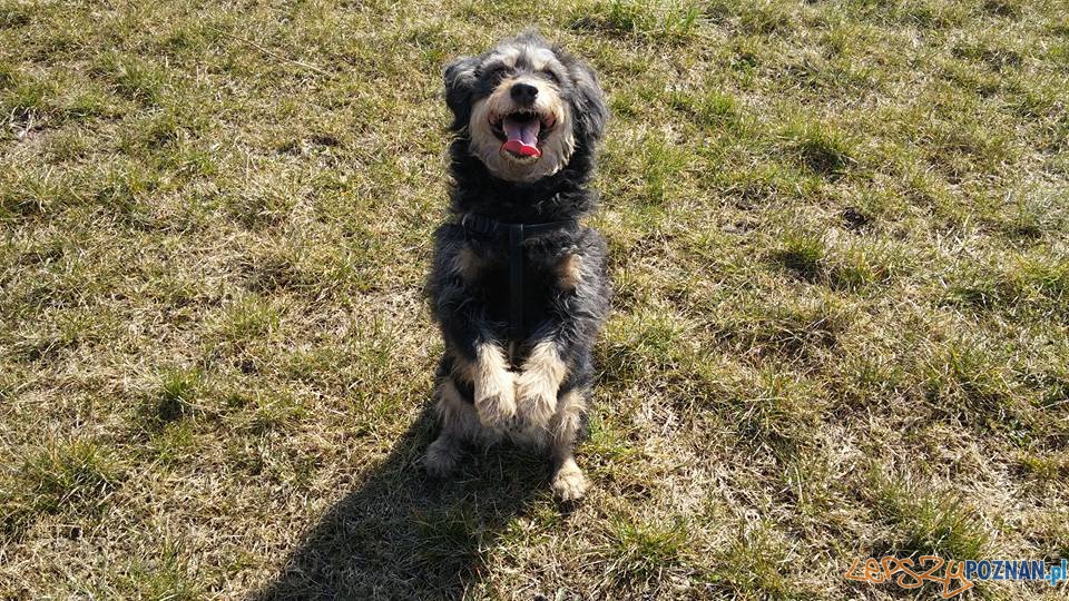 Scully Foto: Scully Foto: