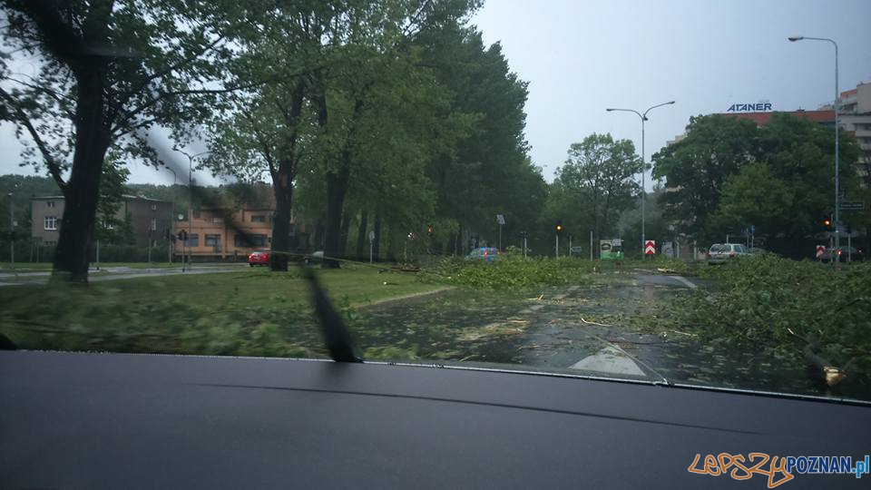 Gwałtowna burza przeszła nad Poznaniem - Niepodległości Foto: Maciej Gnusowski Gwałtowna burza przeszła nad Poznaniem - Niepodległości Foto: Maciej Gnusowski
