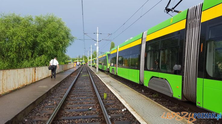 Gwałtowna burza przeszła nad Poznaniem - trasa pestki Foto: Piotr Tarara Gwałtowna burza przeszła nad Poznaniem - trasa pestki Foto: Piotr Tarara