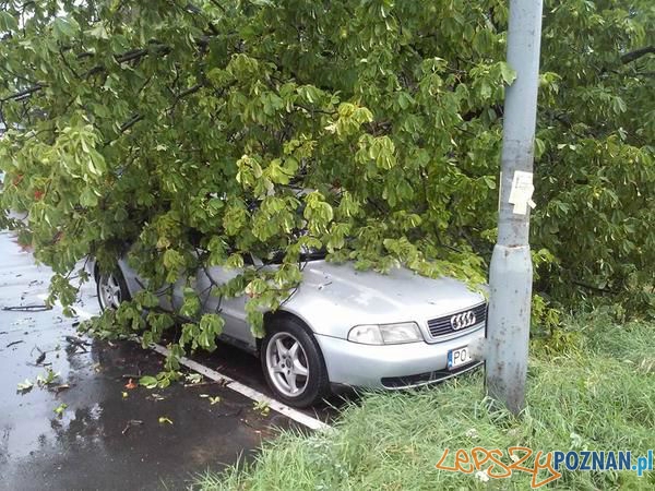 Gwałtowna burza przeszła nad Poznaniem - osiedle Powstańców Warszawy Foto: madmalina Gwałtowna burza przeszła nad Poznaniem - osiedle Powstańców Warszawy Foto: madmalina