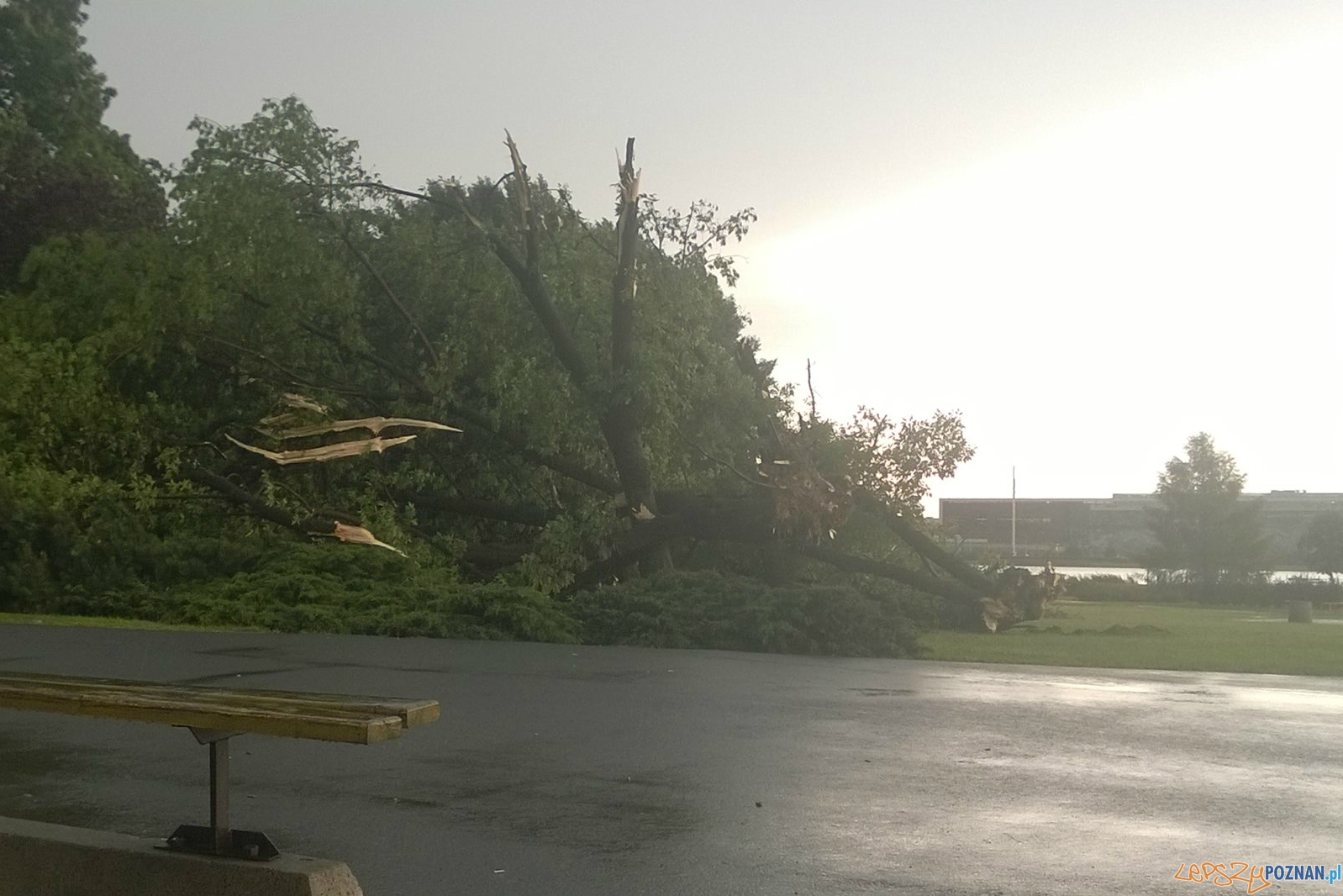 Gwałtowna burza przeszła nad Poznaniem - Śródka Foto: Marcin Gwałtowna burza przeszła nad Poznaniem - Śródka Foto: Marcin