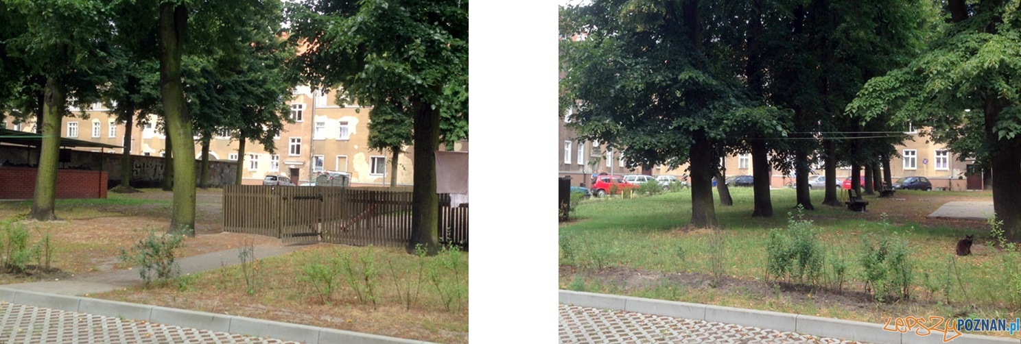 Rolna Tokarska Foto: ZKZL Rolna Tokarska Foto: ZKZL