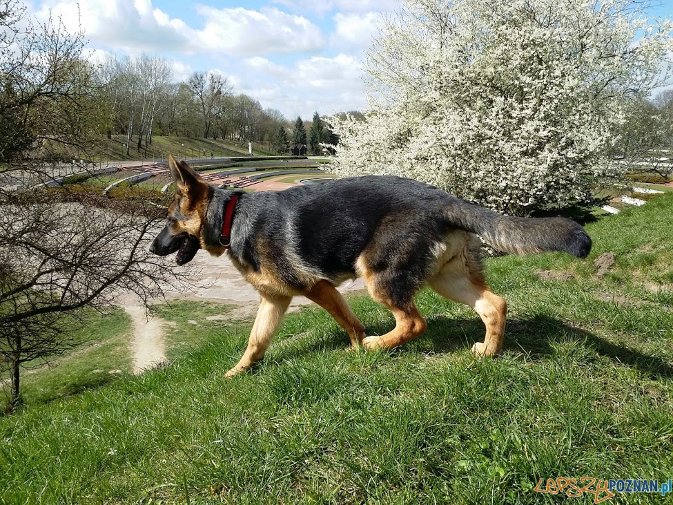 Sansa Foto: Sansa Foto: